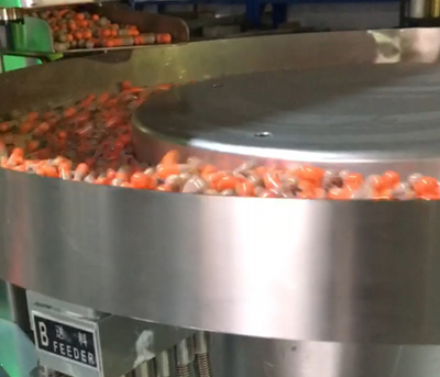 Capsule Strip Packaging Machine